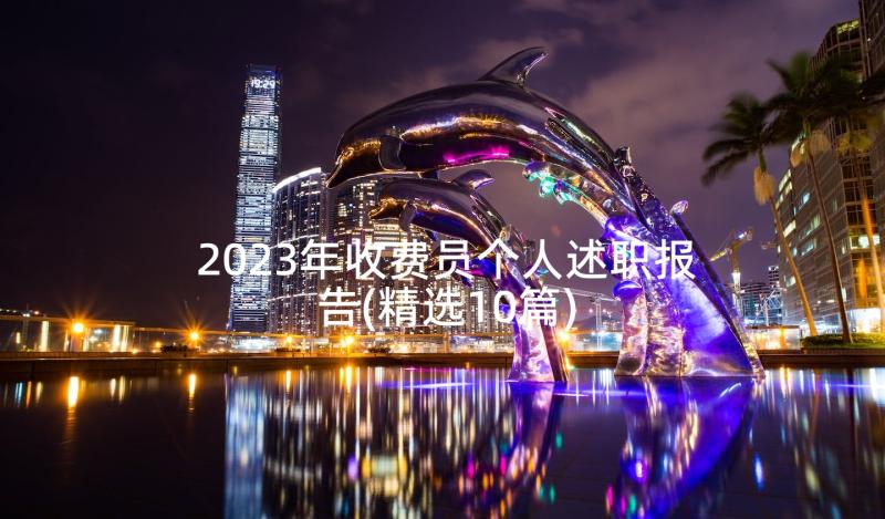 2023年收费员个人述职报告(精选10篇)