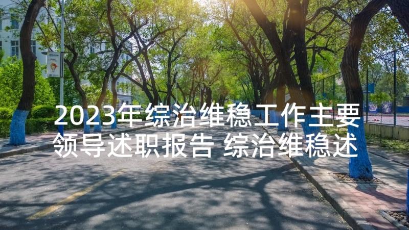 2023年综治维稳工作主要领导述职报告 综治维稳述职报告(汇总5篇)