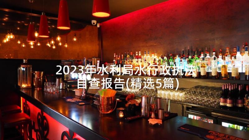 2023年水利局水行政执法自查报告(精选5篇)