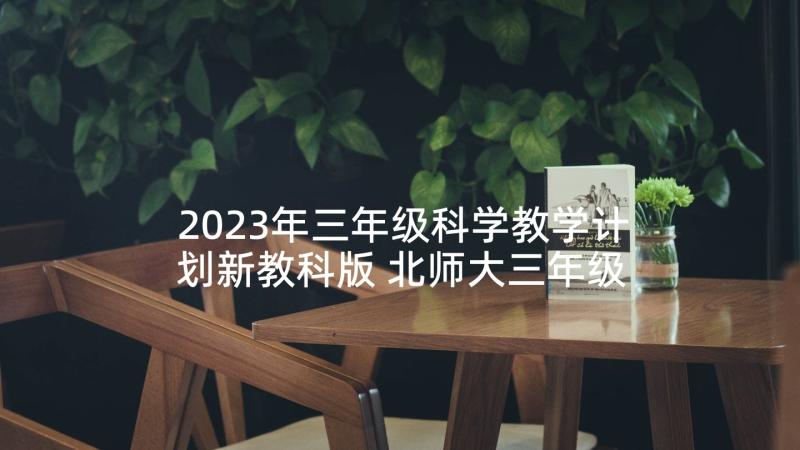 2023年三年级科学教学计划新教科版 北师大三年级上数学教学计划(汇总5篇)