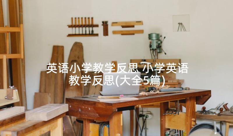 英语小学教学反思 小学英语教学反思(大全5篇)