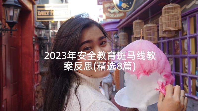 2023年安全教育斑马线教案反思(精选8篇)