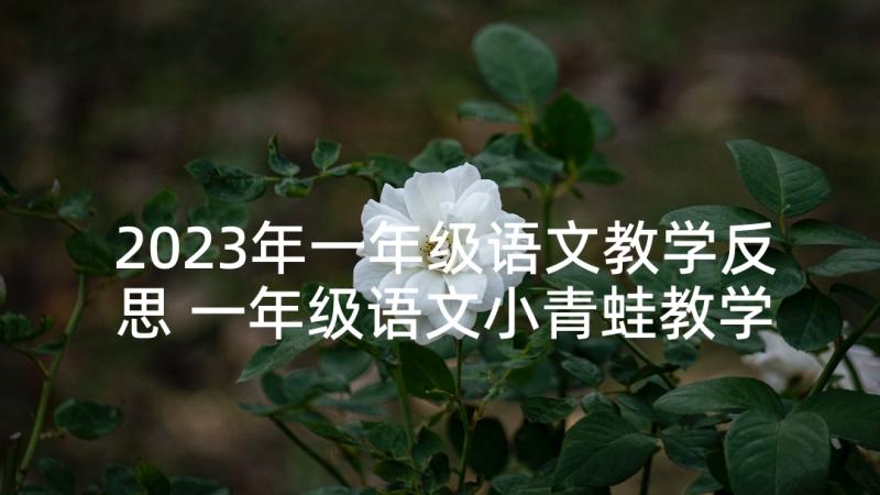 2023年一年级语文教学反思 一年级语文小青蛙教学反思(汇总5篇)