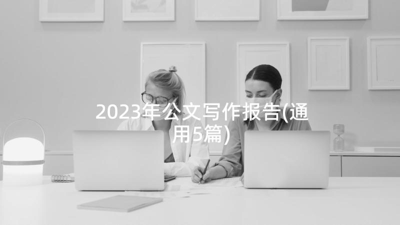 2023年公文写作报告(通用5篇)