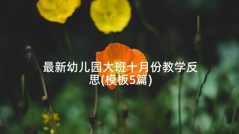 最新幼儿园大班十月份教学反思(模板5篇)