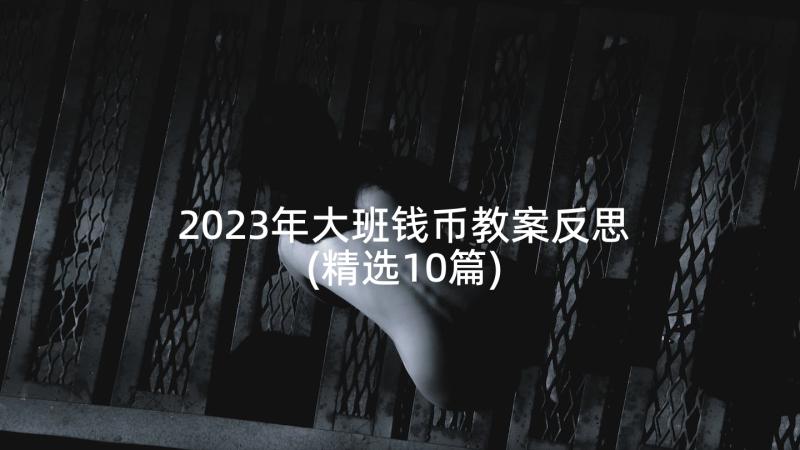 2023年大班钱币教案反思(精选10篇)