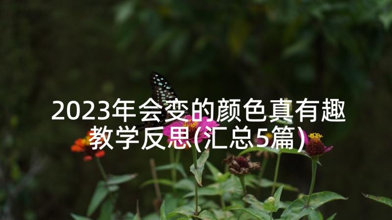 2023年会变的颜色真有趣教学反思(汇总5篇)