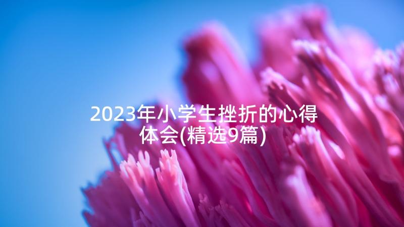 2023年小学生挫折的心得体会(精选9篇)