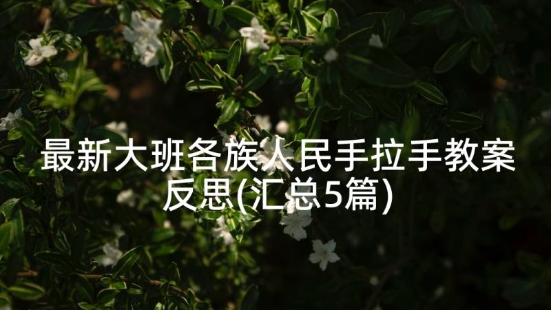 最新大班各族人民手拉手教案反思(汇总5篇)