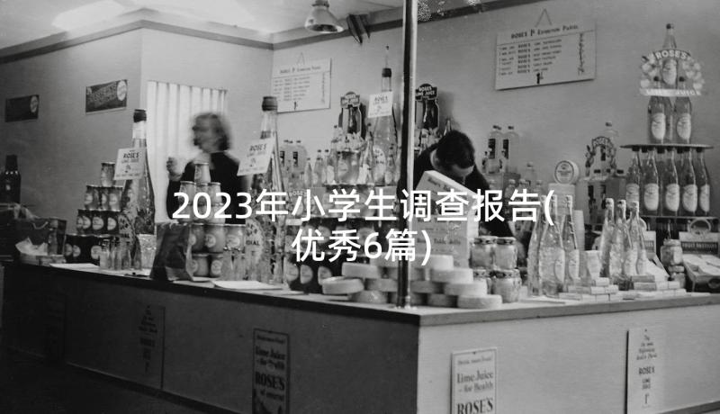 2023年小学生调查报告(优秀6篇)