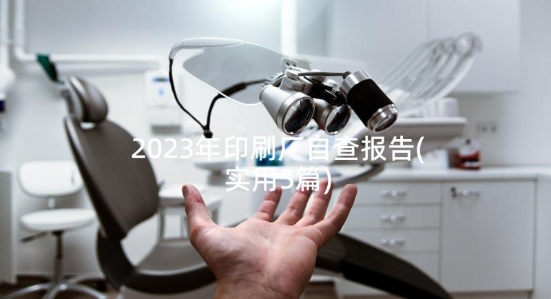 2023年印刷厂自查报告(实用5篇)