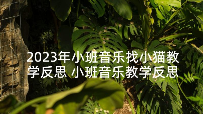 2023年小班音乐找小猫教学反思 小班音乐教学反思(精选8篇)