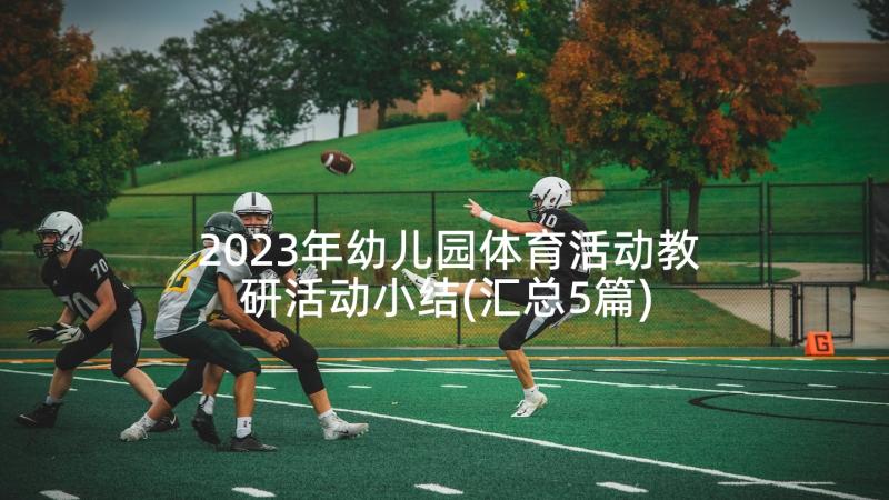 2023年幼儿园体育活动教研活动小结(汇总5篇)