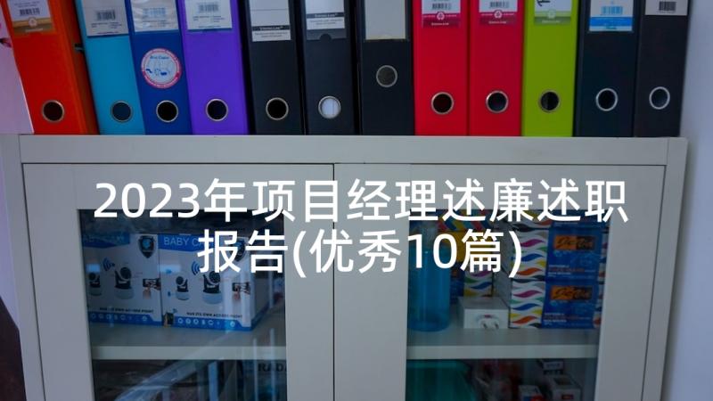 2023年项目经理述廉述职报告(优秀10篇)