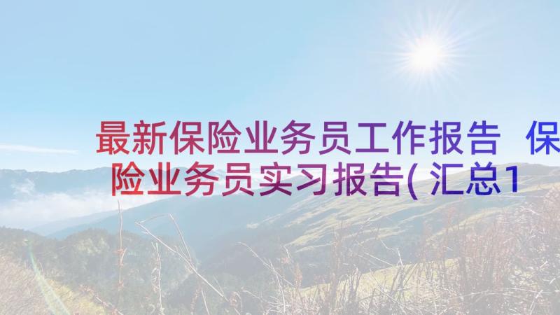 最新保险业务员工作报告 保险业务员实习报告(汇总10篇)