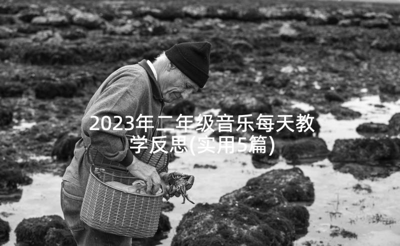 2023年二年级音乐每天教学反思(实用5篇)