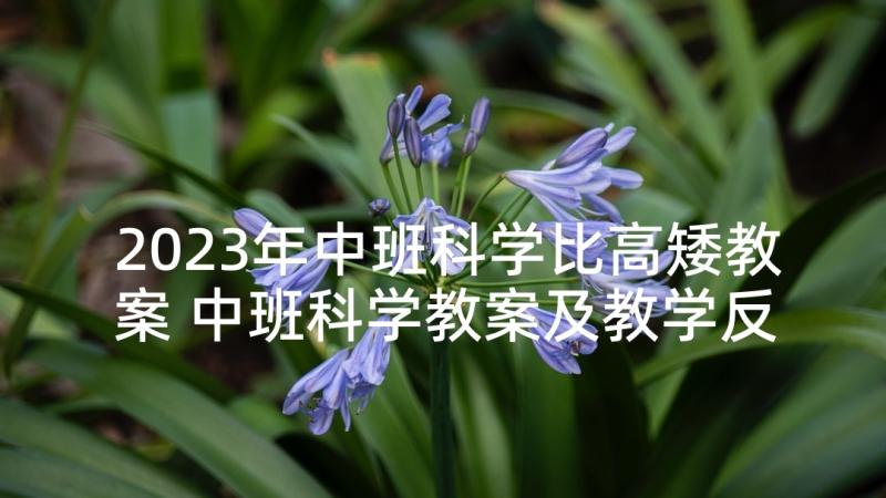 2023年中班科学比高矮教案 中班科学教案及教学反思(汇总7篇)