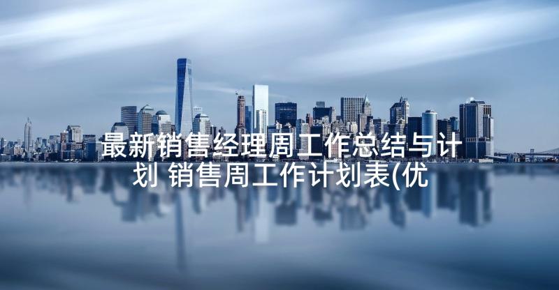 最新销售经理周工作总结与计划 销售周工作计划表(优质8篇)