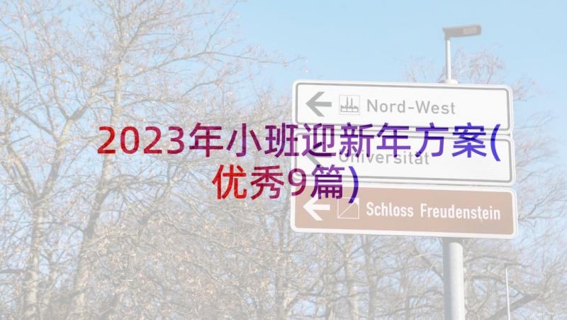 2023年小班迎新年方案(优秀9篇)