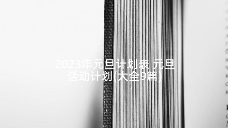 2023年元旦计划表 元旦活动计划(大全9篇)