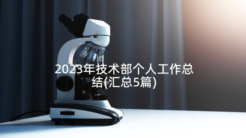 2023年技术部个人工作总结(汇总5篇)