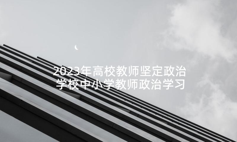 2023年高校教师坚定政治 学校中小学教师政治学习计划(模板5篇)