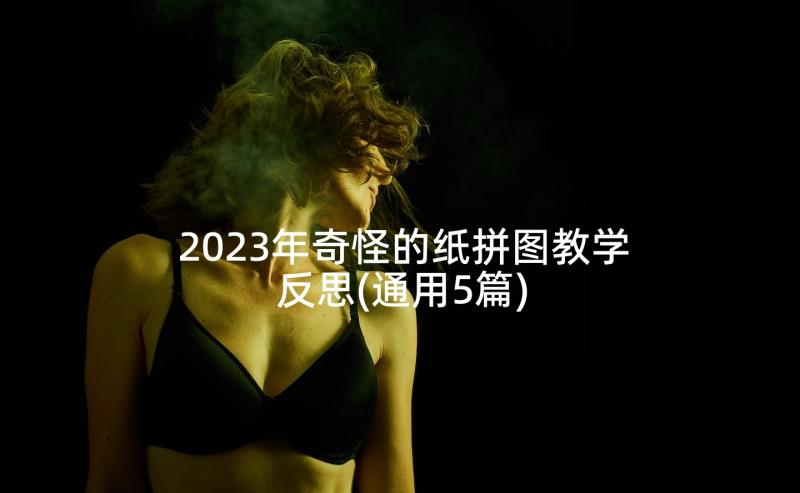 2023年奇怪的纸拼图教学反思(通用5篇)