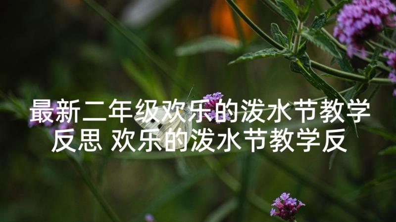 最新二年级欢乐的泼水节教学反思 欢乐的泼水节教学反思(实用5篇)