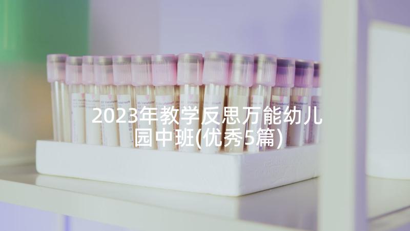 2023年教学反思万能幼儿园中班(优秀5篇)