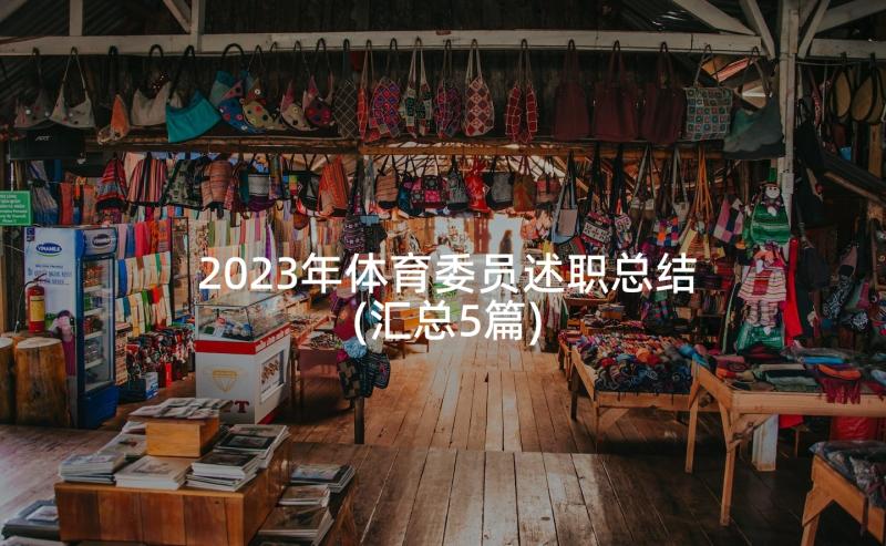 2023年体育委员述职总结(汇总5篇)