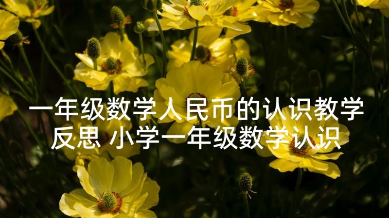 一年级数学人民币的认识教学反思 小学一年级数学认识人民币教案及教学反思(汇总9篇)