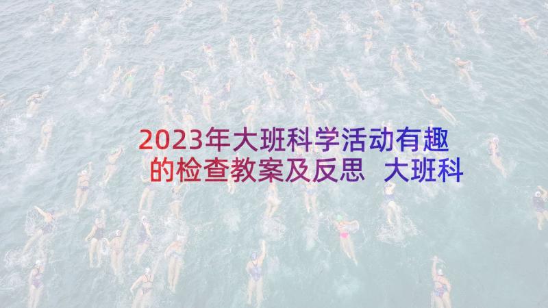 2023年大班科学活动有趣的检查教案及反思 大班科学活动教案有趣的静电(实用5篇)