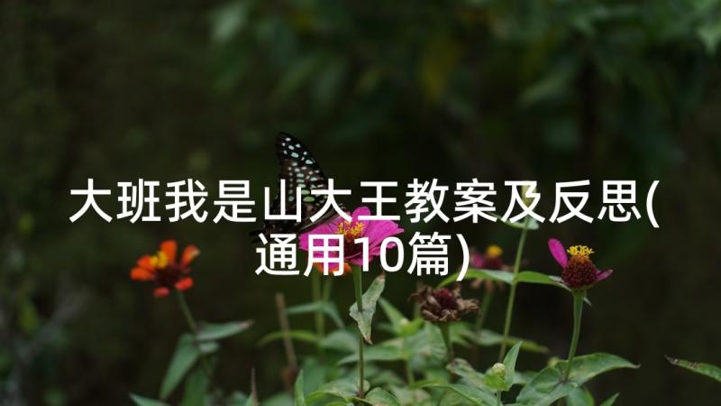 大班我是山大王教案及反思(通用10篇)