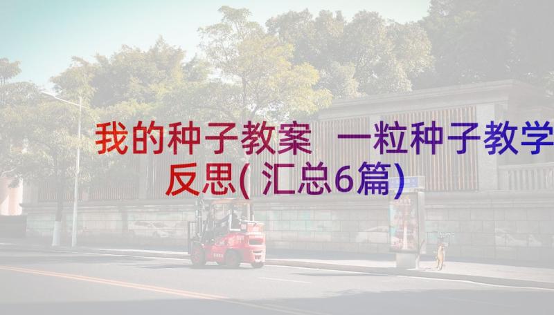 我的种子教案 一粒种子教学反思(汇总6篇)