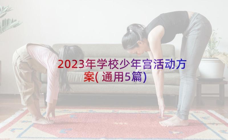 2023年学校少年宫活动方案(通用5篇)