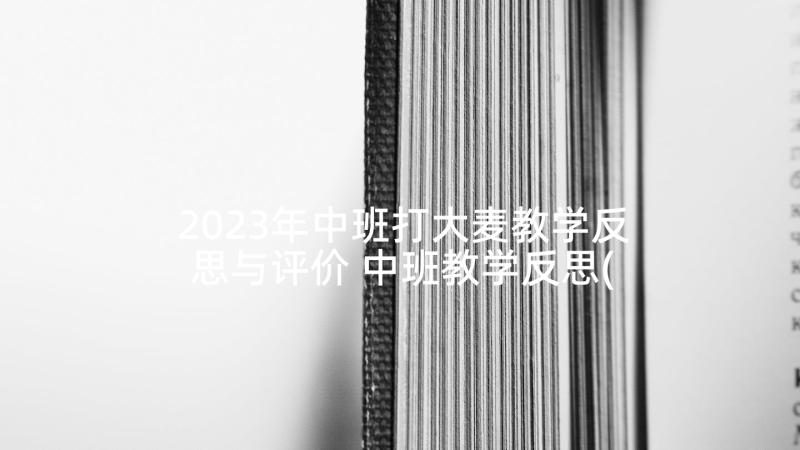 2023年中班打大麦教学反思与评价 中班教学反思(大全8篇)