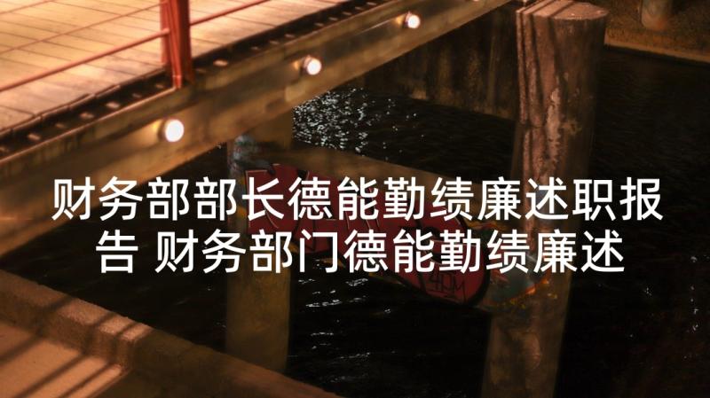 财务部部长德能勤绩廉述职报告 财务部门德能勤绩廉述职报告(优质5篇)