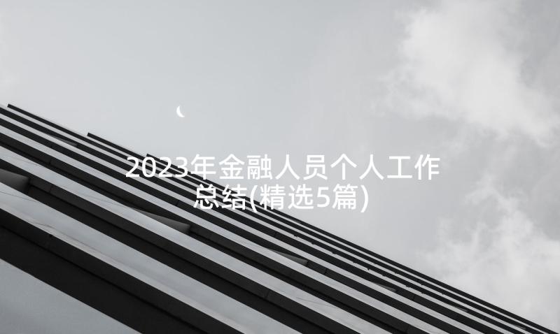 2023年金融人员个人工作总结(精选5篇)