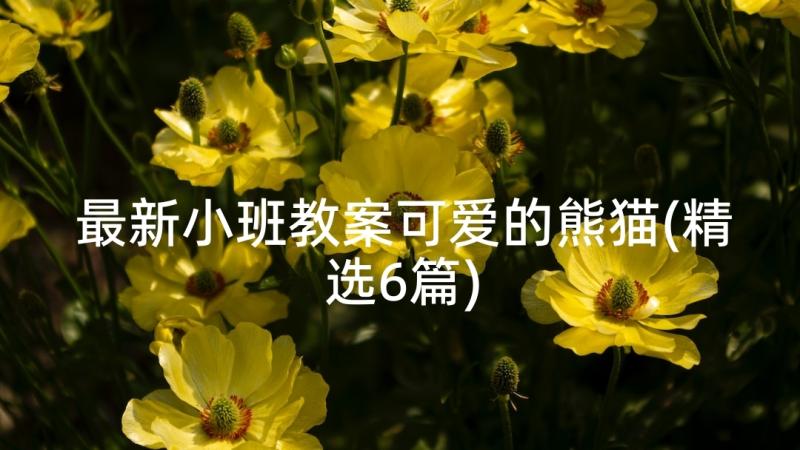 最新小班教案可爱的熊猫(精选6篇)