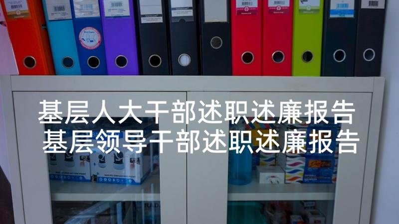 基层人大干部述职述廉报告 基层领导干部述职述廉报告(通用6篇)