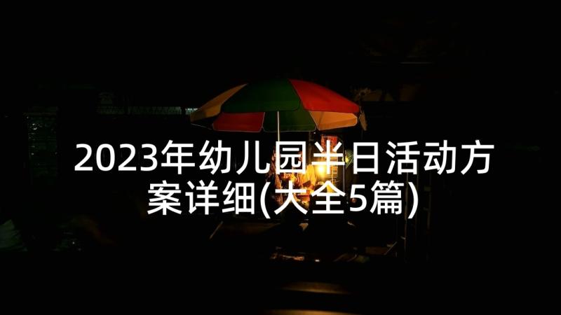 2023年幼儿园半日活动方案详细(大全5篇)