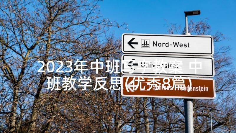 2023年中班写字教案 中班教学反思(优秀8篇)