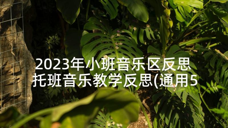 2023年小班音乐区反思 托班音乐教学反思(通用5篇)