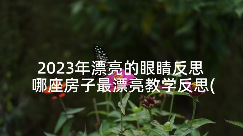 2023年漂亮的眼睛反思 哪座房子最漂亮教学反思(优质7篇)