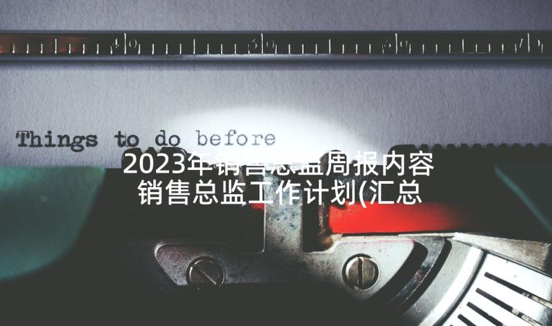 2023年销售总监周报内容 销售总监工作计划(汇总9篇)