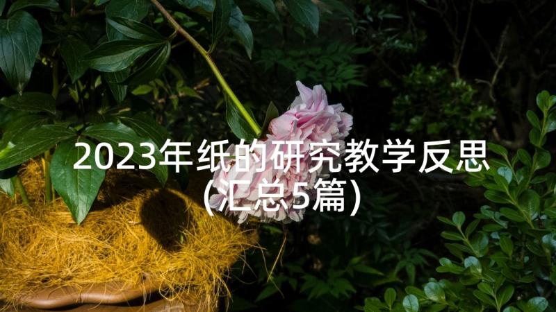 2023年纸的研究教学反思(汇总5篇)