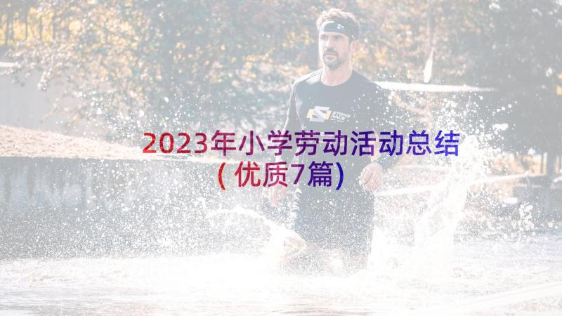 2023年小学劳动活动总结(优质7篇)