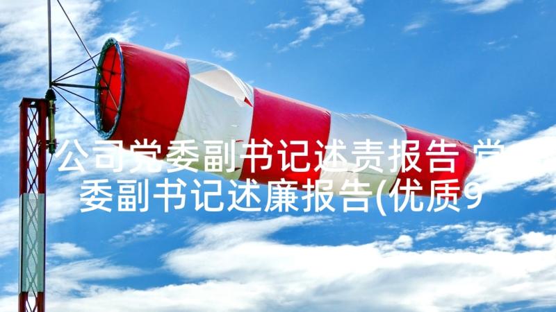 公司党委副书记述责报告 党委副书记述廉报告(优质9篇)