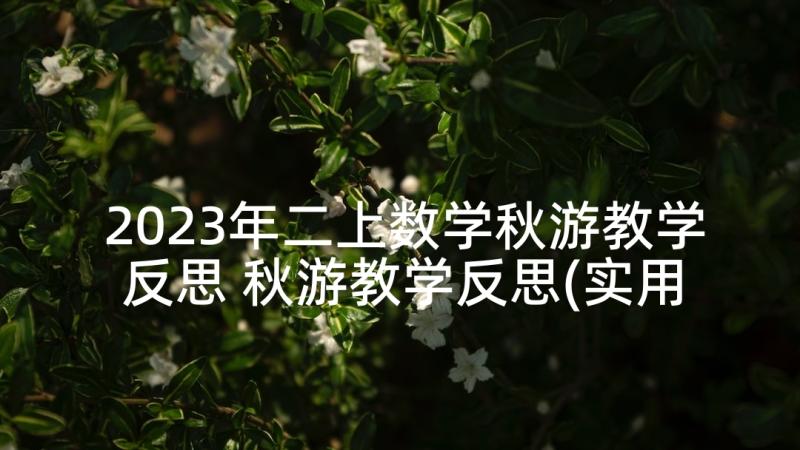 2023年二上数学秋游教学反思 秋游教学反思(实用9篇)