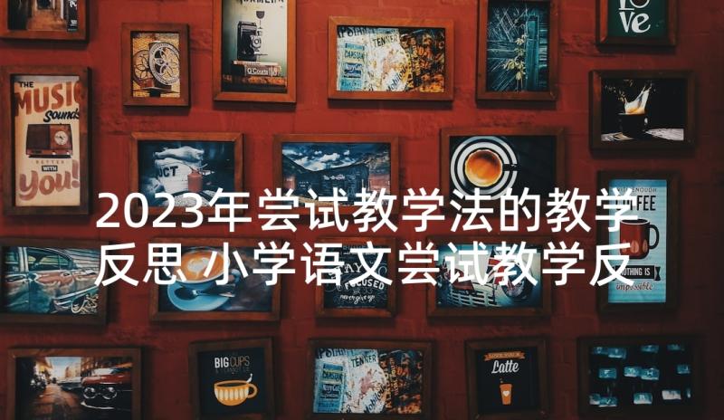 2023年尝试教学法的教学反思 小学语文尝试教学反思(通用5篇)